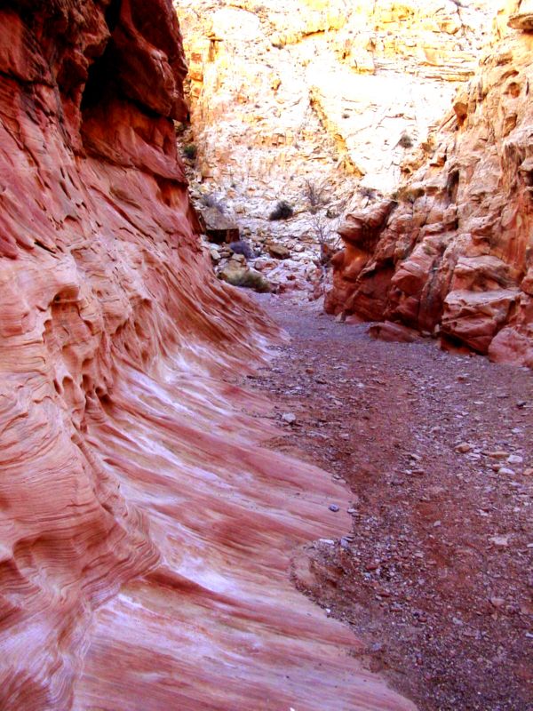 04160302LittleWildHorse (1094)